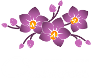 Туристическая гостиница Орхидея, Николаевка 